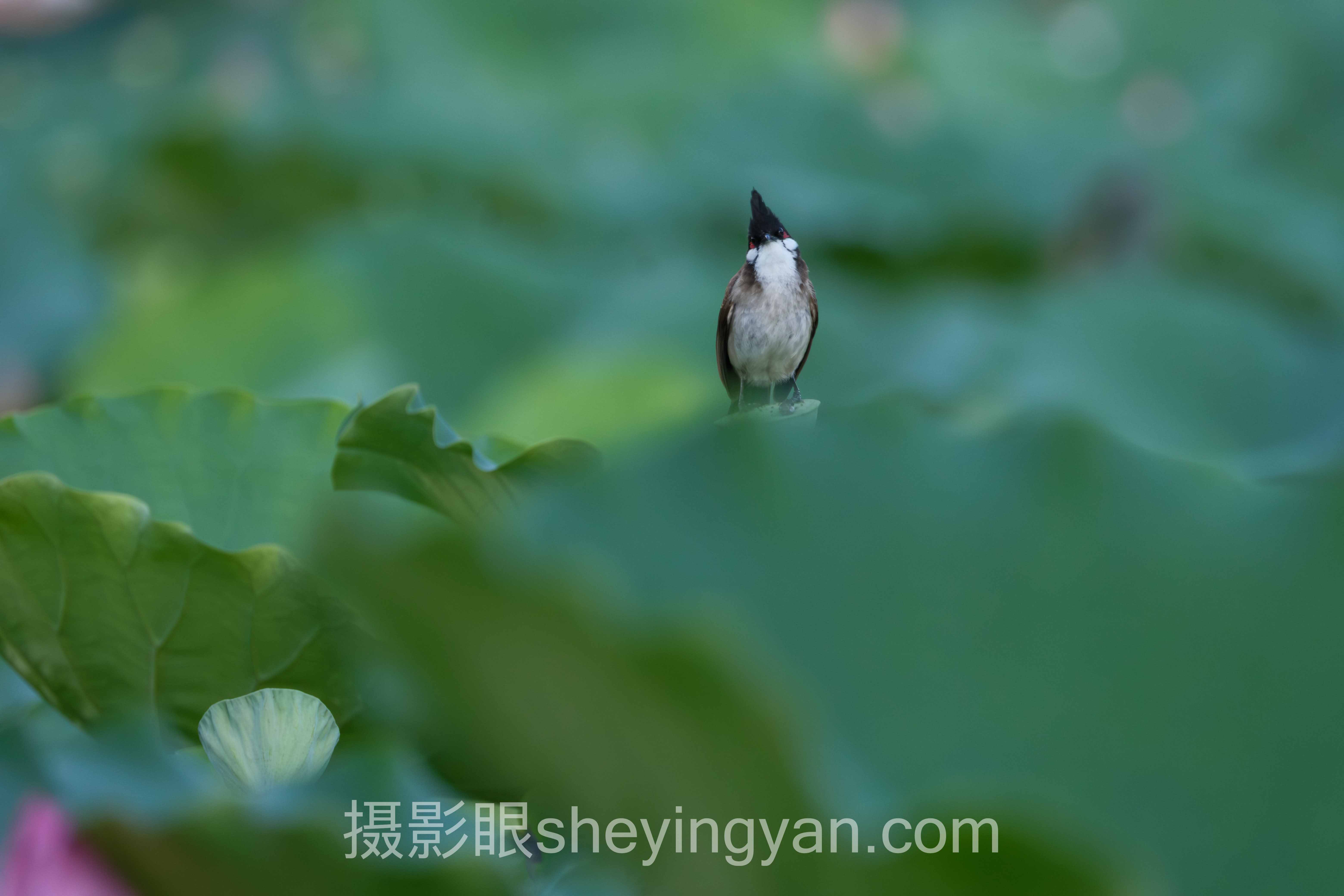 照片选片多少钱一次