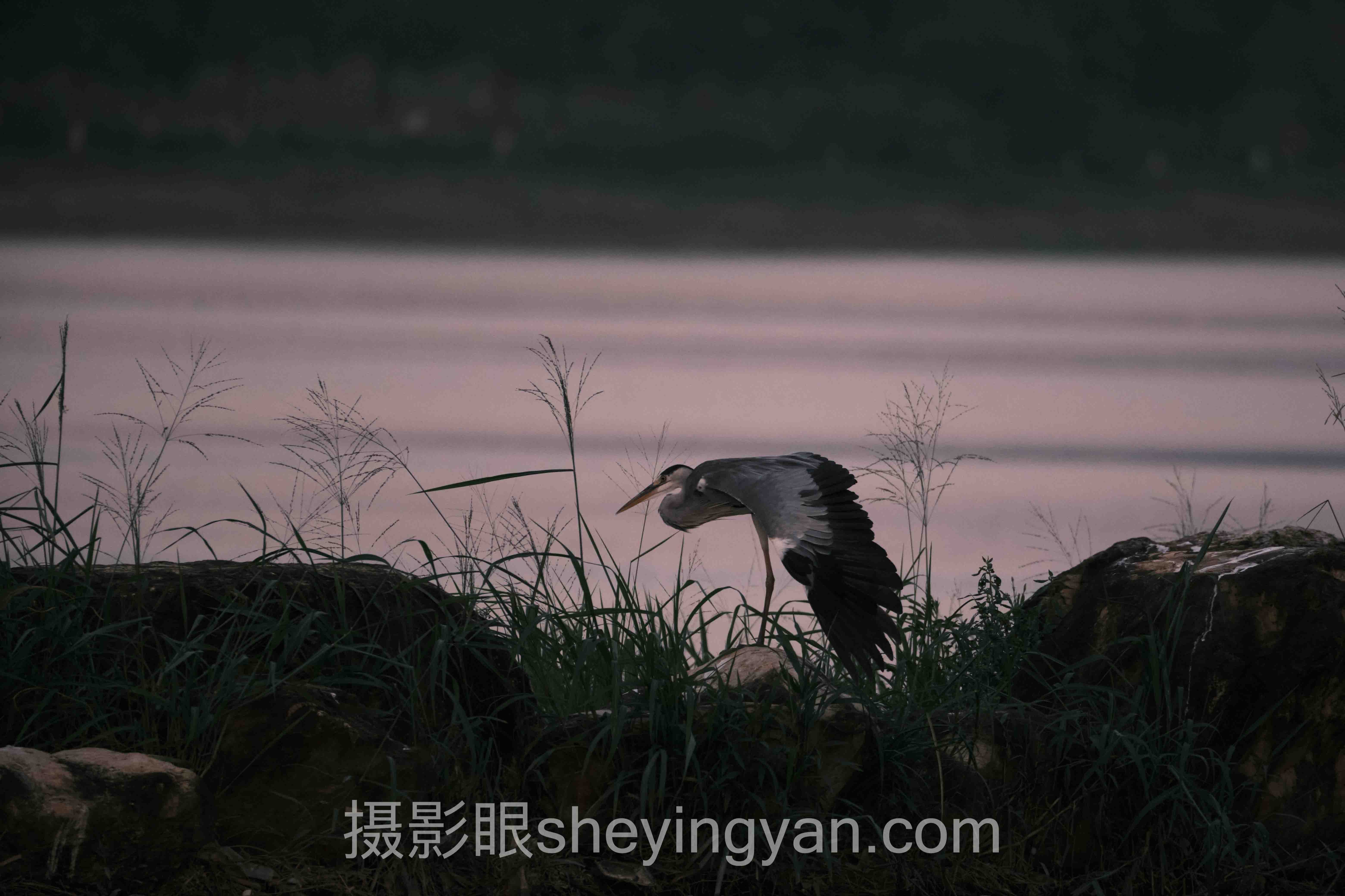 从3个案例看2025视觉中国签约新规：照片点评决定过审