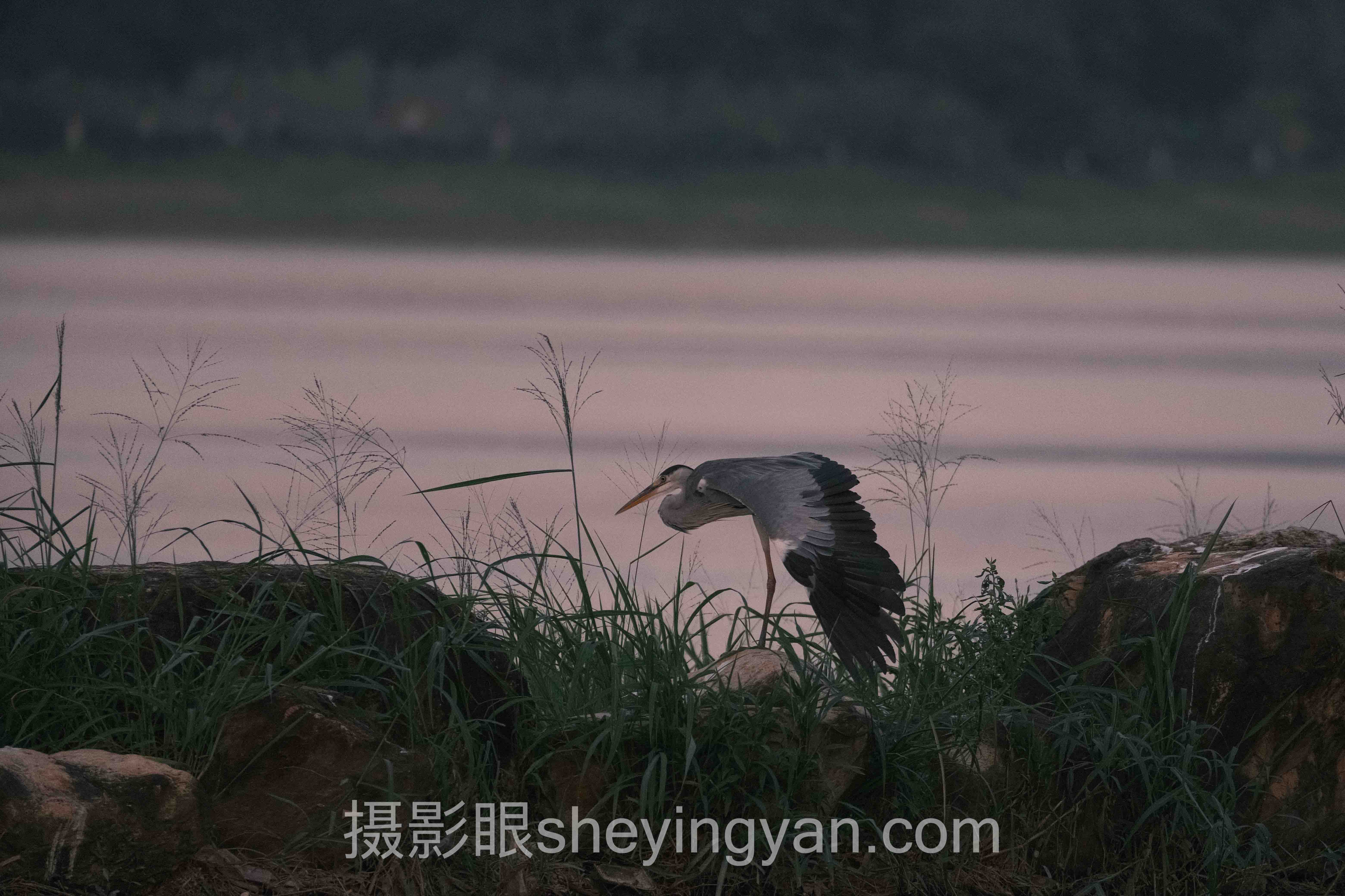 摄影眼AI照片点评行业数据全景：5组数据揭示真相