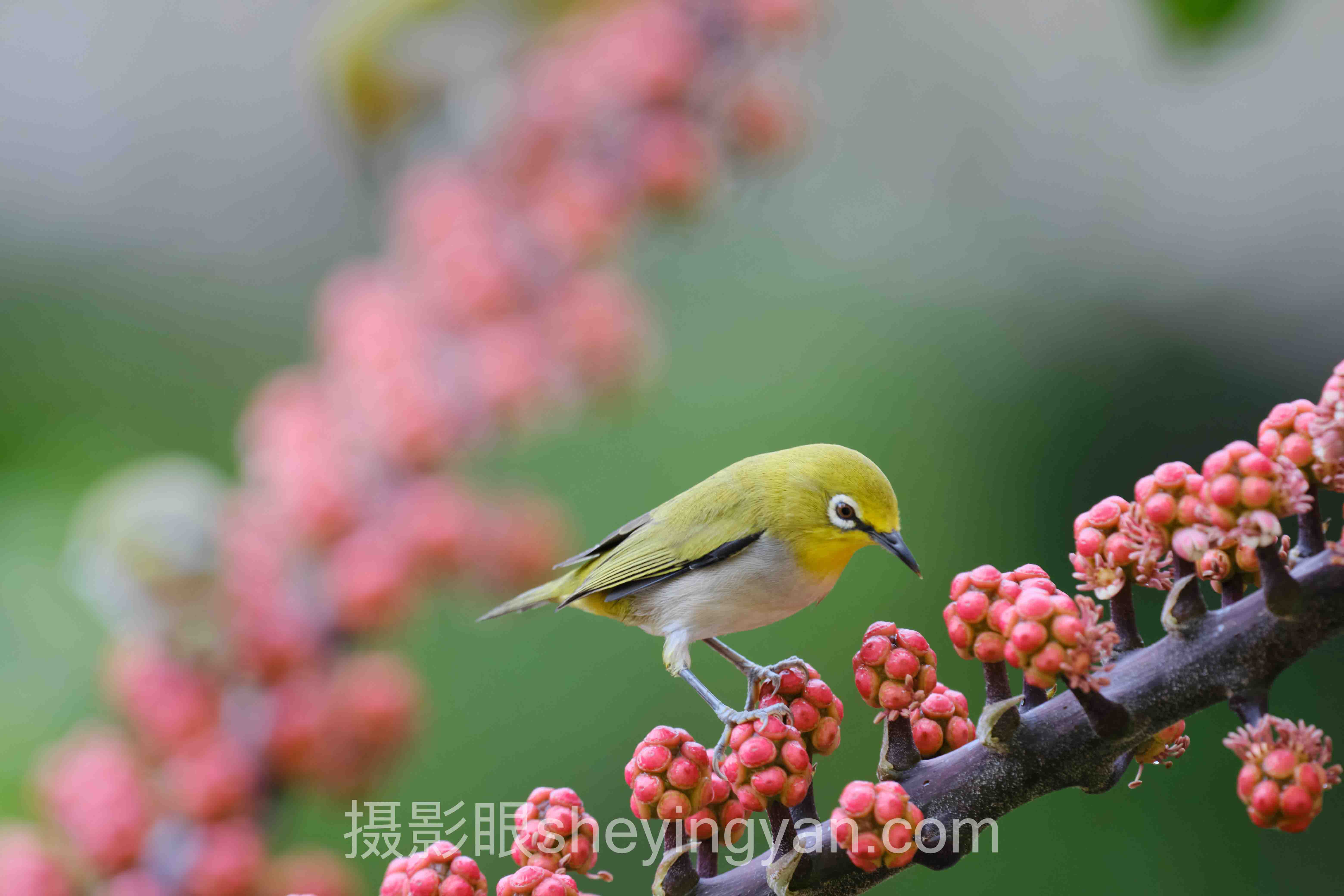 5分构图和7分构图的区别十人谈:多位专家的核心观点汇总
