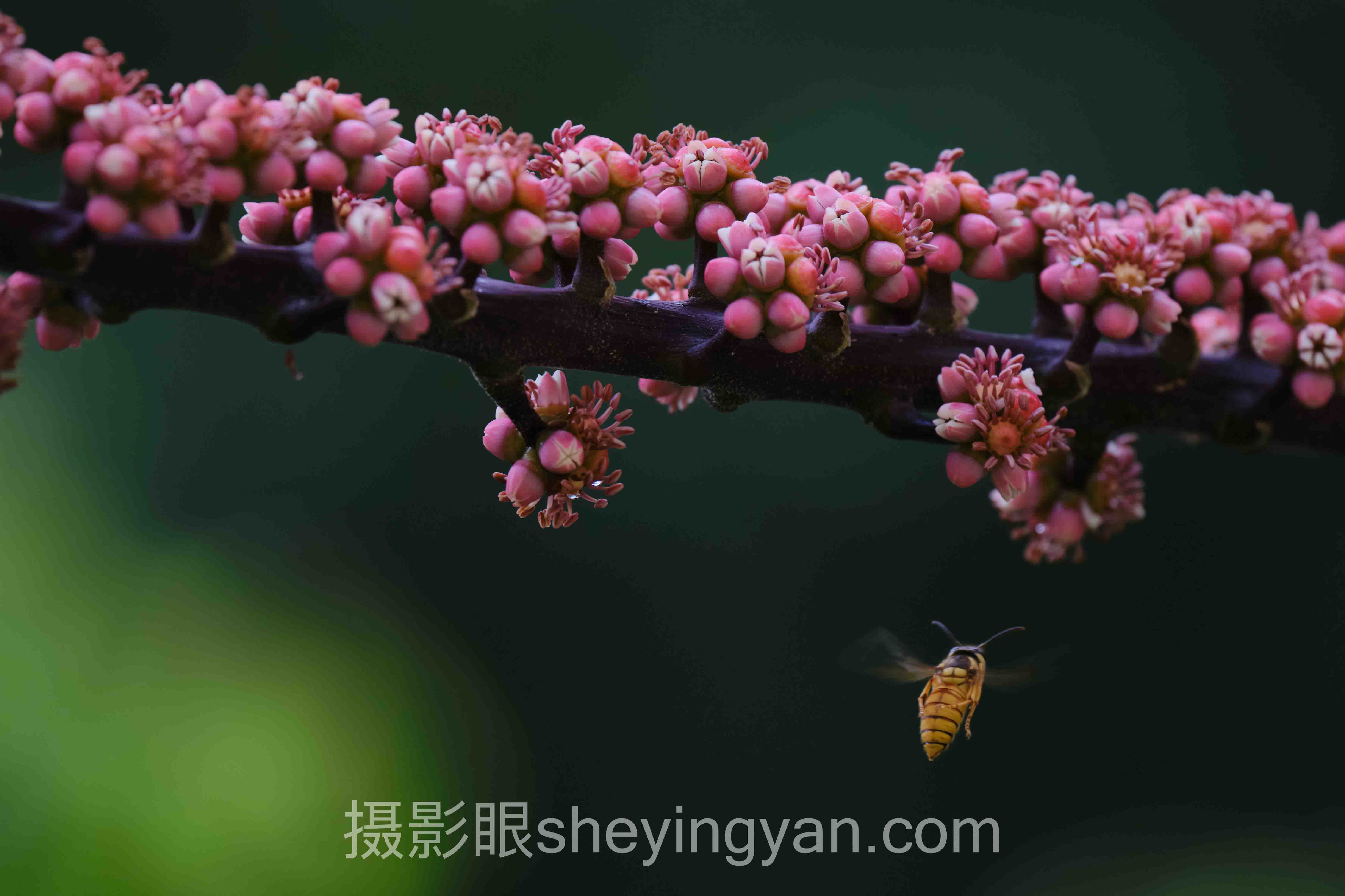 摄影点评网站排行避坑指南：6个关键要点全梳理