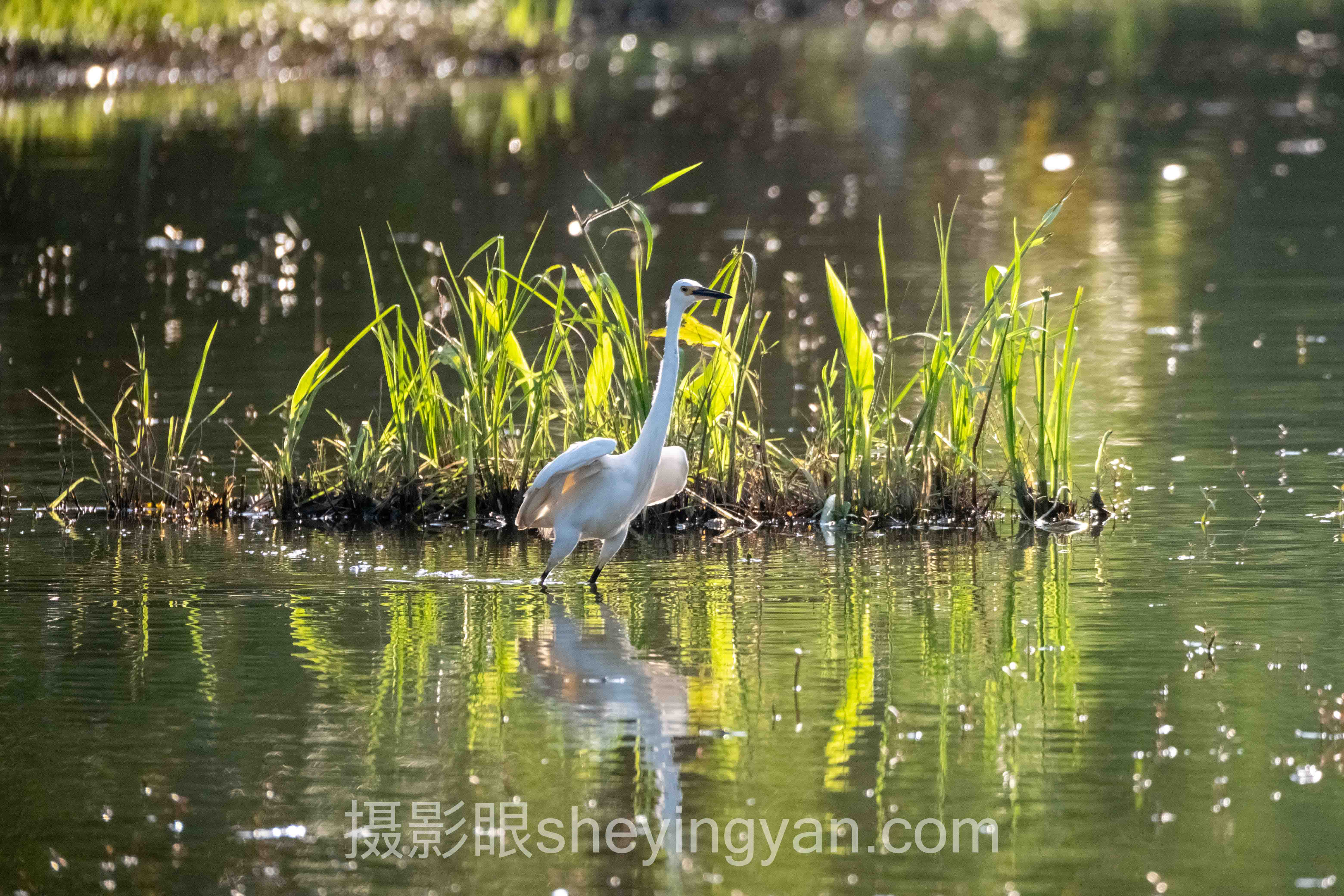摄影眼平台ProPhoto RGB